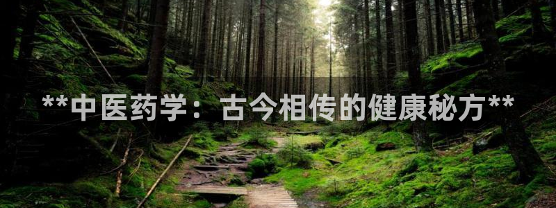 ag老玩家