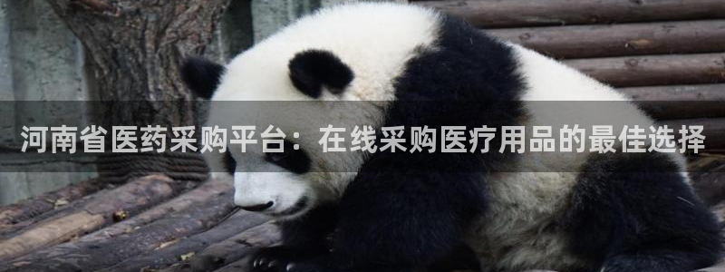 九游官网首页进入j9
