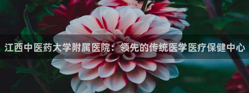 九游会集团官网
