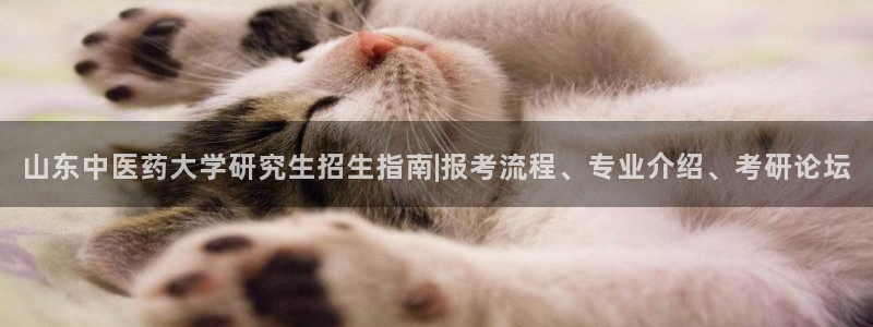 九游会官方首页登录