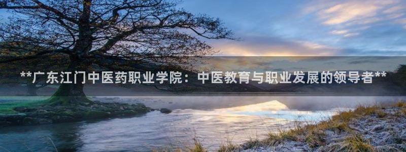 九游会最新网站