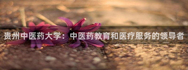 九游会J9登录入口
