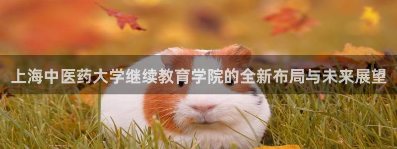 j9九游会老哥俱乐部是干啥的