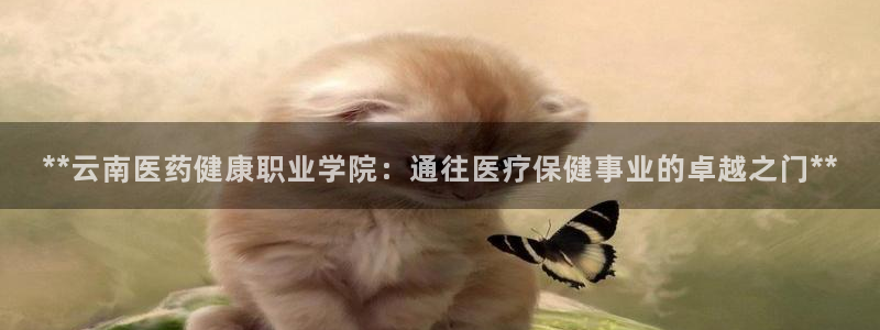 九游会官网登录AG