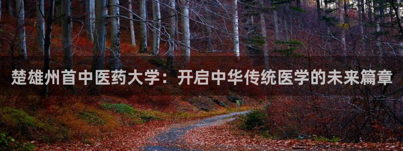 九游会登录网址多少