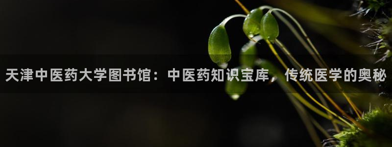 J9九游会-真人游戏第一品牌