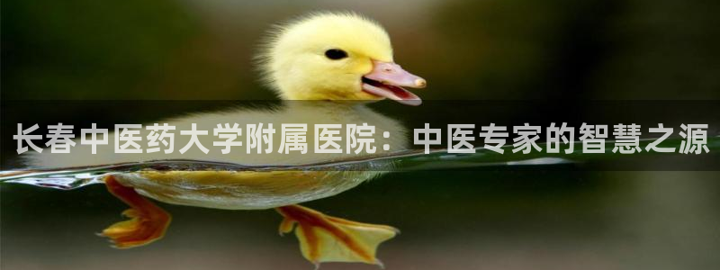 ag亚洲国际游戏九游会