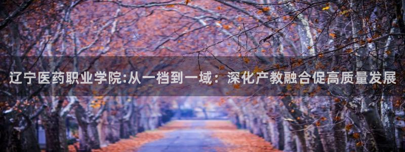 九游会是干嘛的