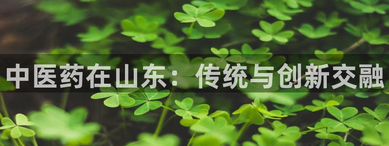 九游会登录网站