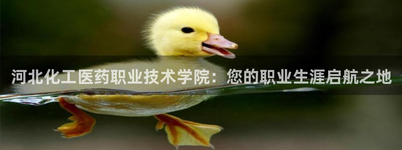 九游会官网进入