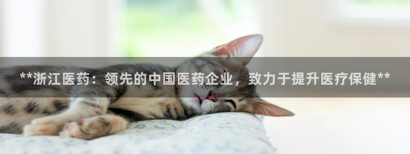 j9.cn