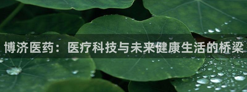 九游会网址是什么