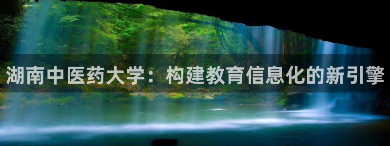 九游j9