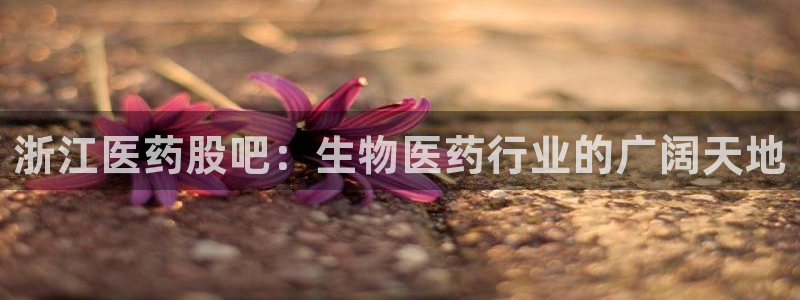 j9九游会老哥俱乐部交流区
