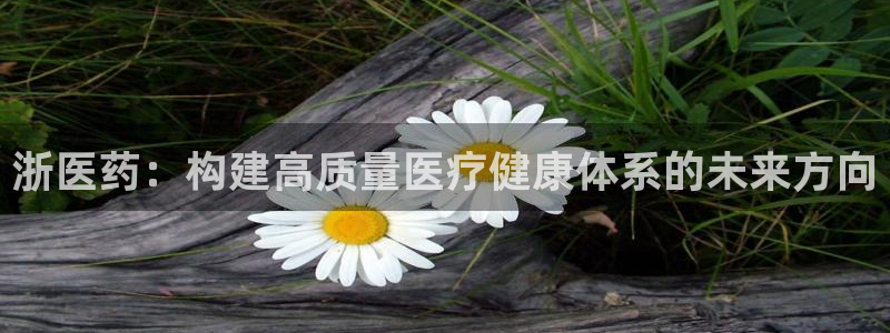 九游会是一个什么网站
