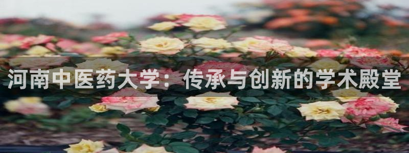 九游会集团菲律宾