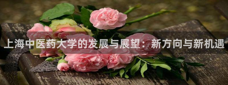 九游会网址是多少