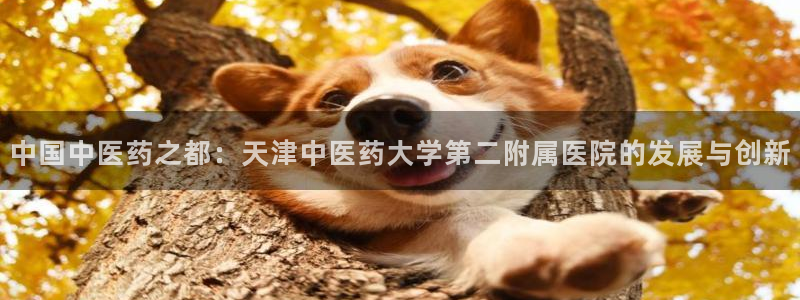 九游j9官方旗舰店
