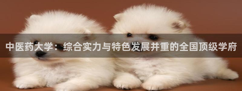j9九游会官方网站国际怎么样