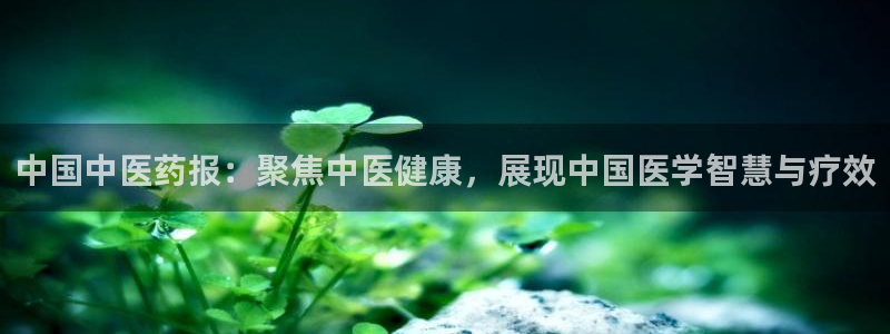 九游会国际厅