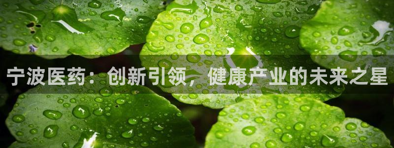 九游会登录网址