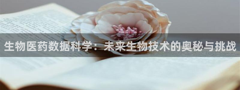 九游会提款安全吗：生