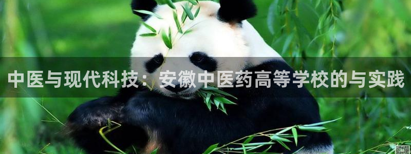 九游会AG登录中心(中国)官方网站