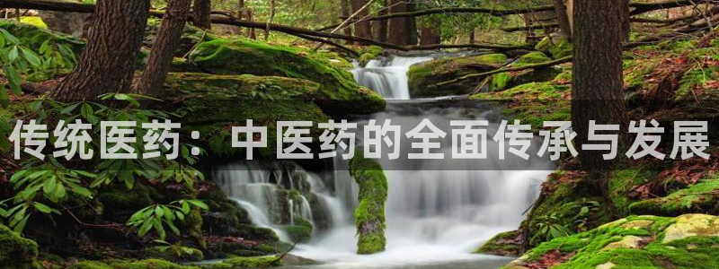 九游官网首页进入j9