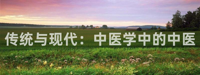 九游会老哥论坛：传统 