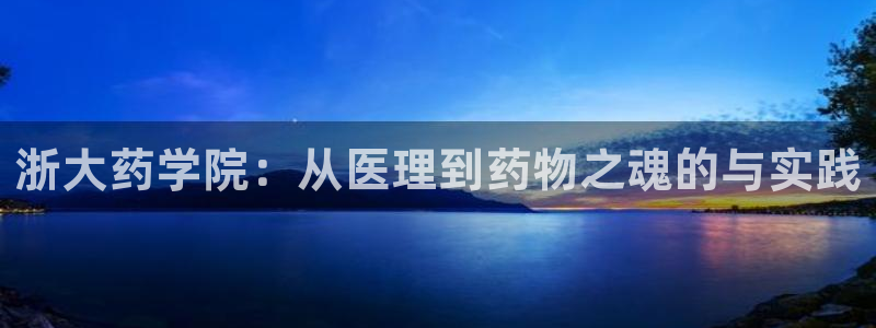 ag久游