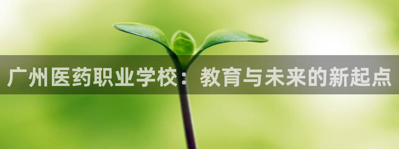 九游会提款快吗