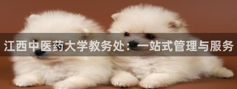 九游j9登陆