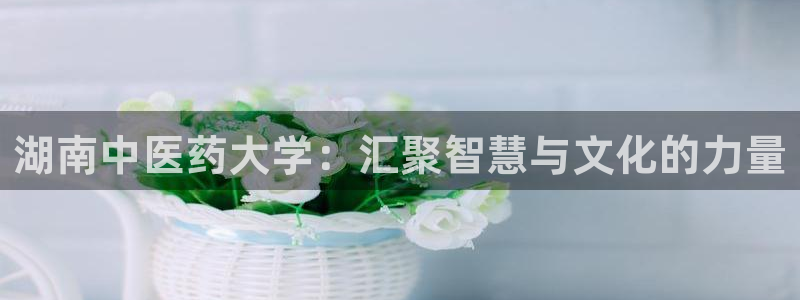 九游会提款快吗
