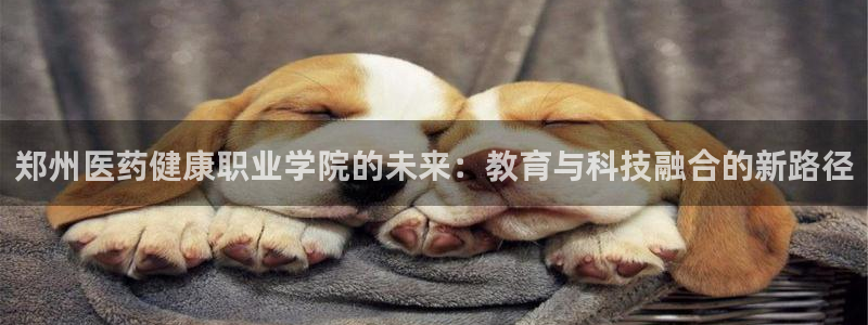 九游会软件