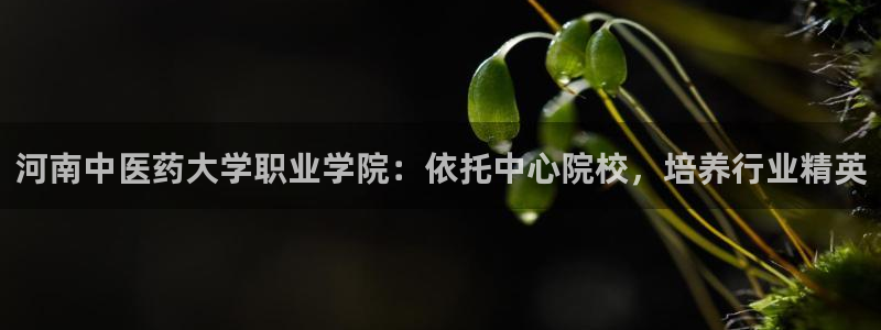 J9九游会是干嘛的