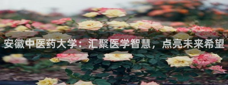 九游会首页官网