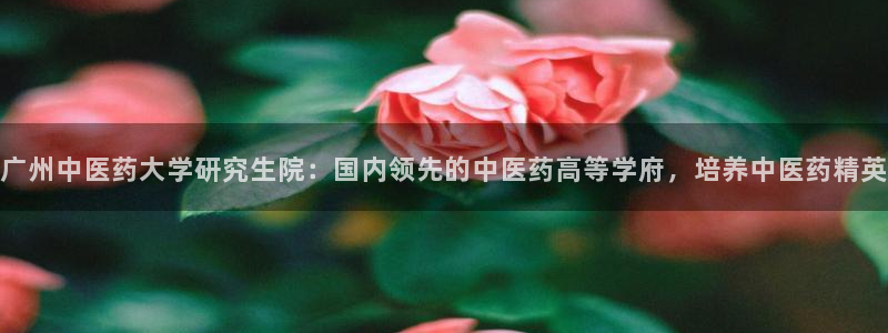 J9九游会官网app