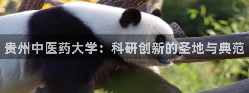 九游会官方旗舰店