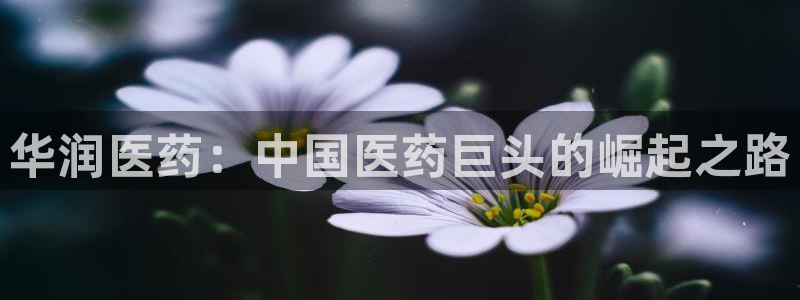 ag九游老哥俱乐部