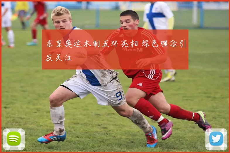 东京奥运木制五环亮相 绿色理念引发关注