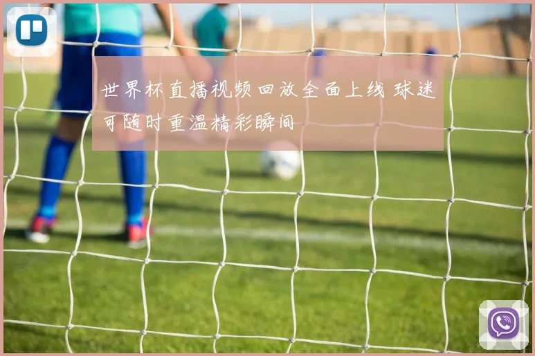 世界杯直播视频回放全面上线 球迷可随时重温精彩瞬间