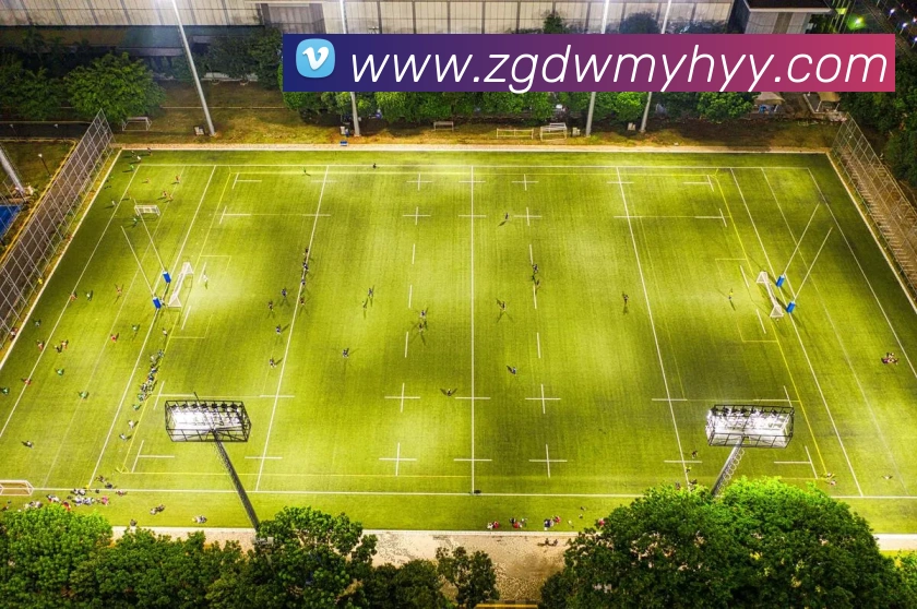 多媒体互动体验