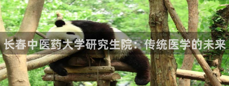 九游会真人第一品牌游戏合营