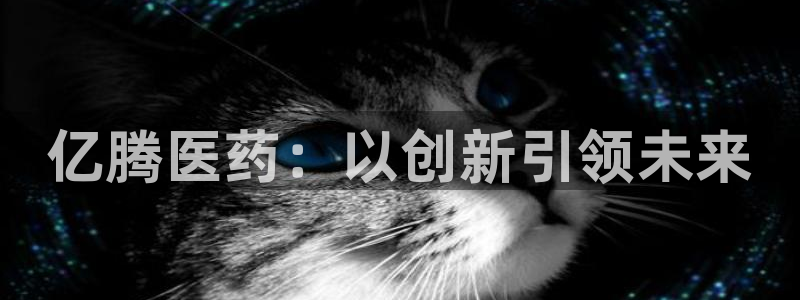 九游会官网网址是多少