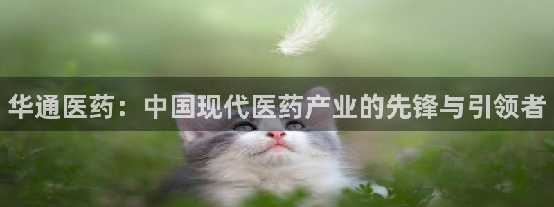 j9九游会官网入口