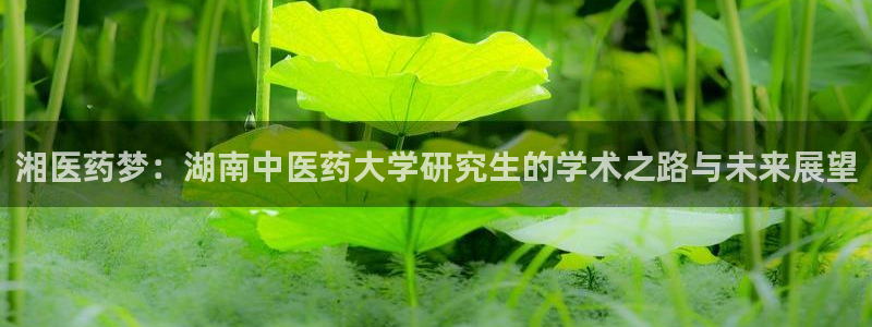 ag九游官网登录