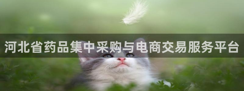 九游会集团菲律宾：河