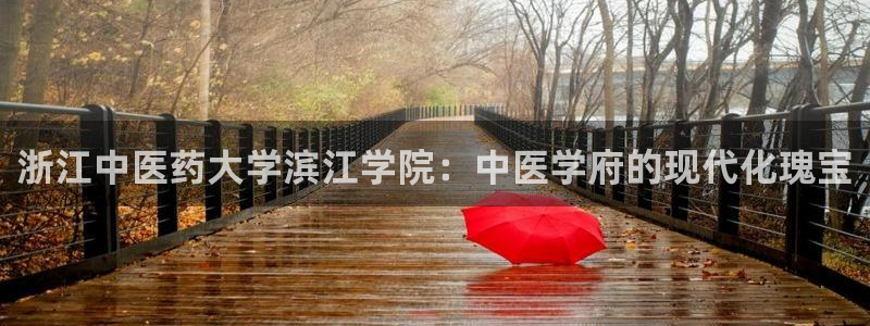 九游会ag真人官网i