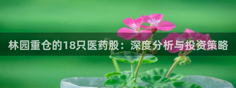 九游会国际站：林园重