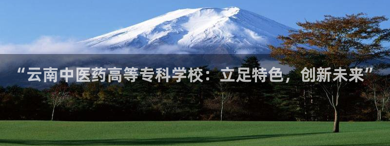 九游会平台：“云南中